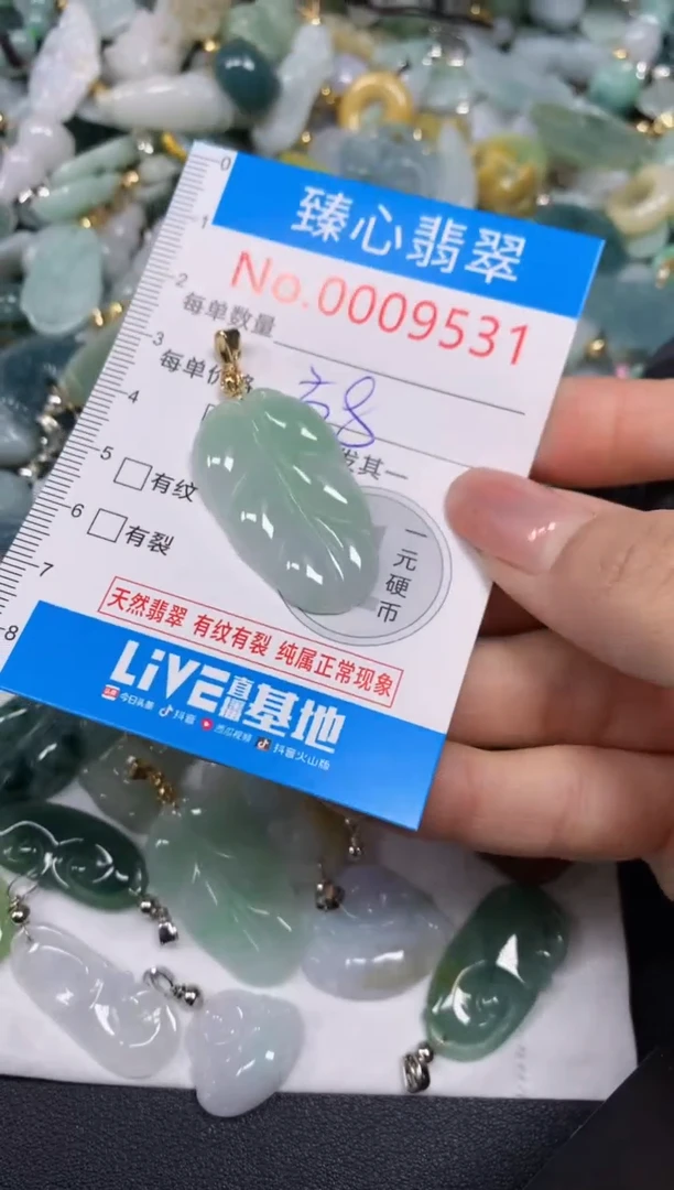 【闪购商品】翡翠颈饰未镶嵌含绳0009531