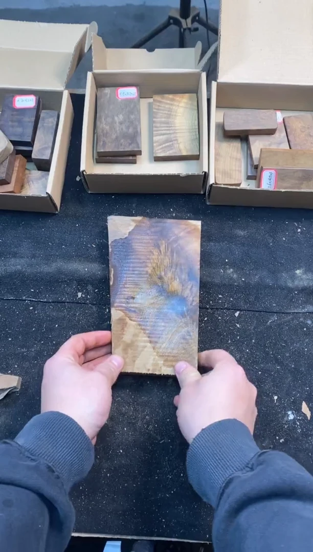 嘉*华金丝楠小叶桢楠1