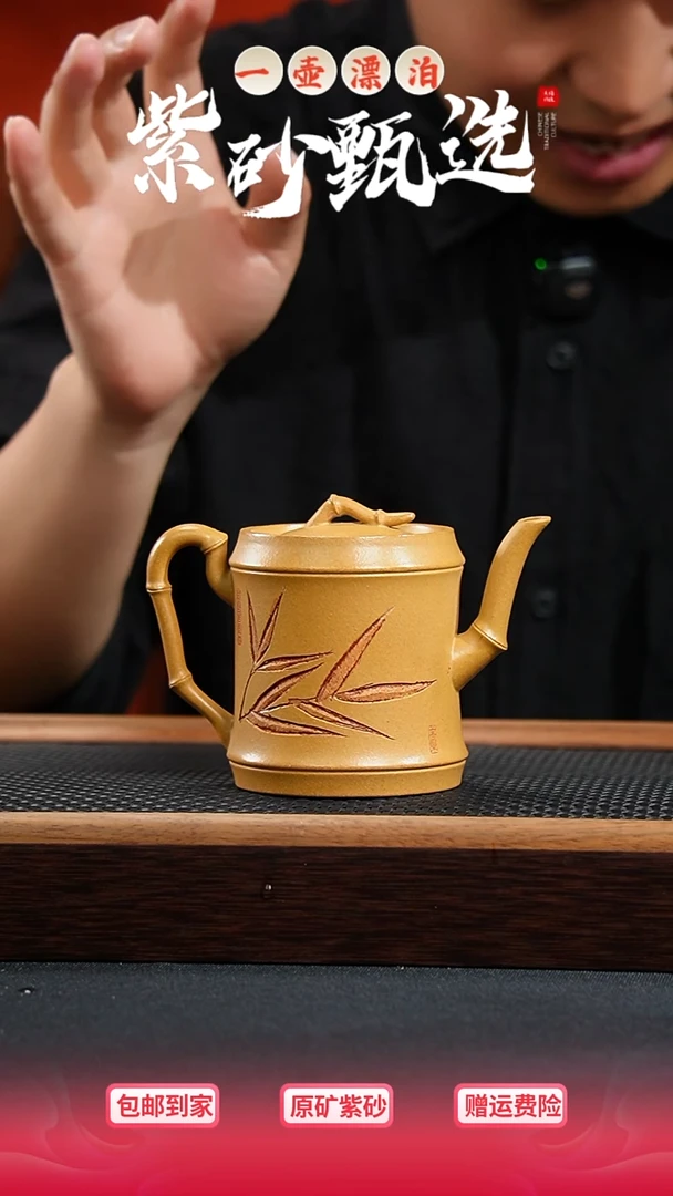 茶壶紫砂 一壶漂泊紫砂茶器2012