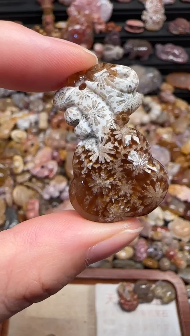 颈饰未镶嵌硅化珊瑚（珊瑚玉）594