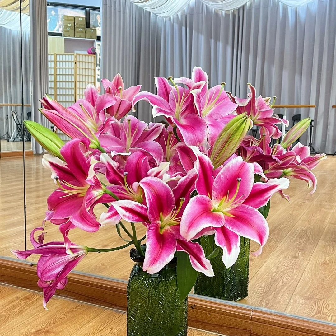 【红福】香水百合云南鲜花基地直发一单包邮包邮 发货后不支持退款