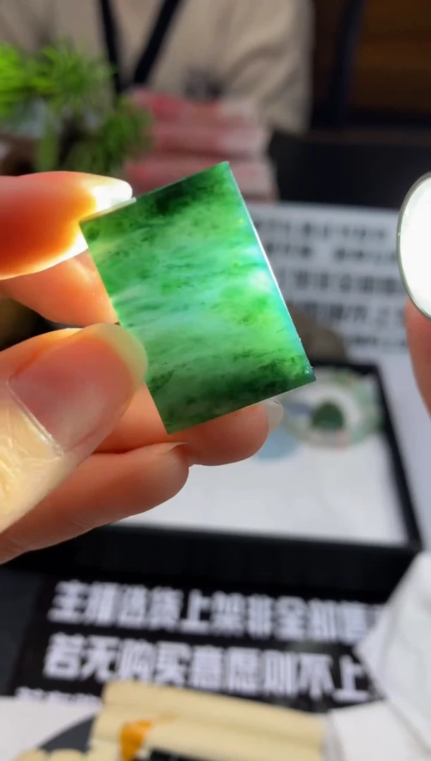 未镶嵌定制翡翠小**肉---117596