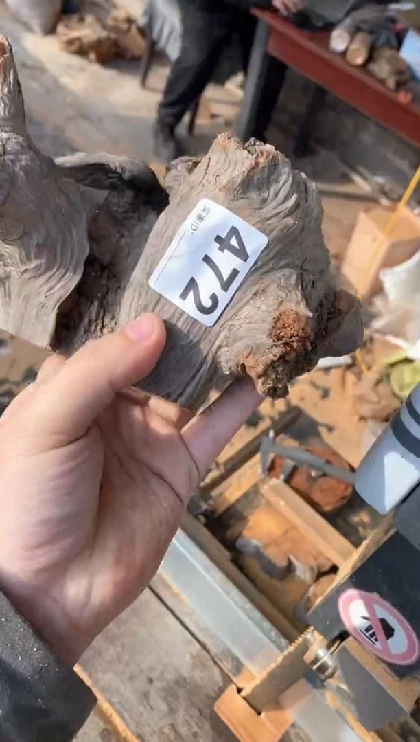 【闪购商品】柏木太行陈化崖柏（津诚林）切片