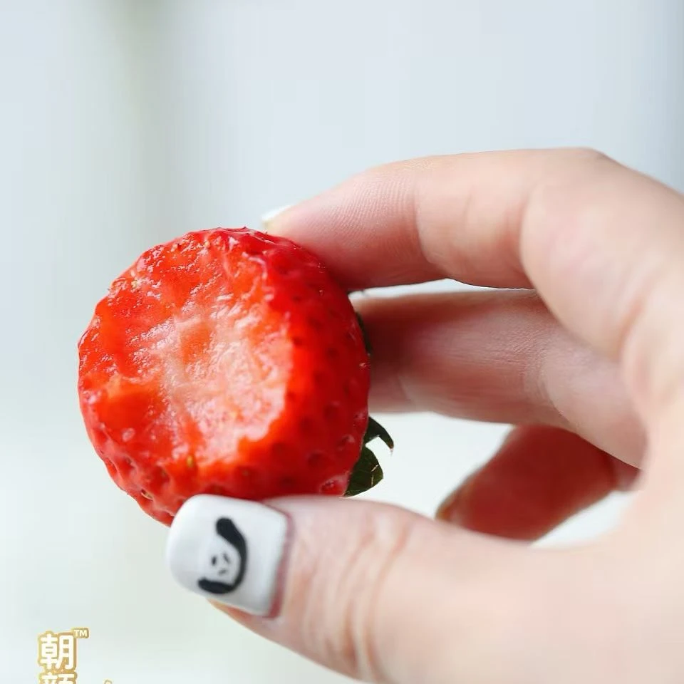 丹东草莓 红颜  新鲜现货丹东草莓丹东草莓草莓孕妇红颜奶油草莓重庆双福发货