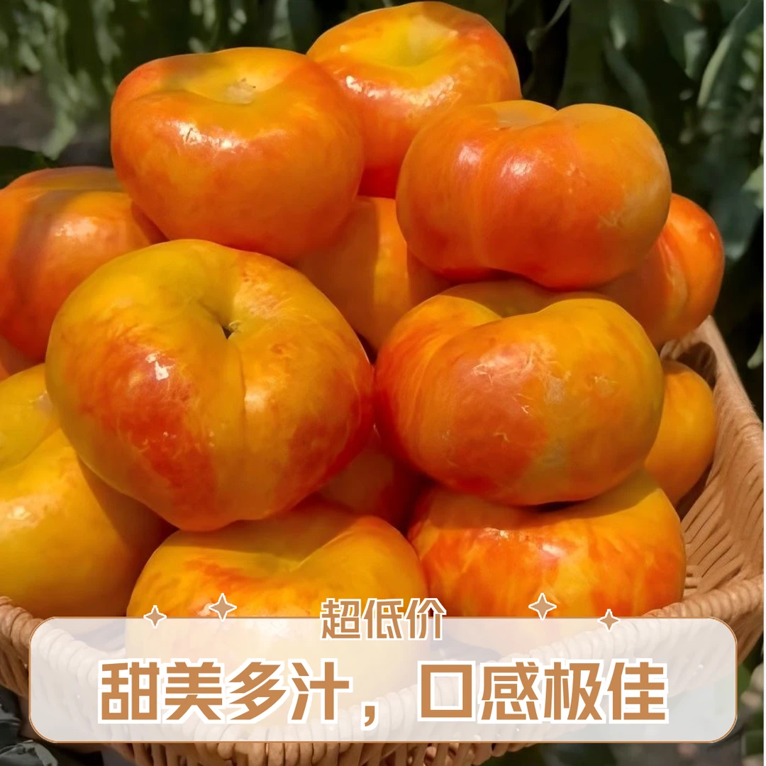 【周谷堆水果】黄金彩虹油蟠蜜脆爆汁颗颗金黄新鲜到家批发市场直发（18）山东省