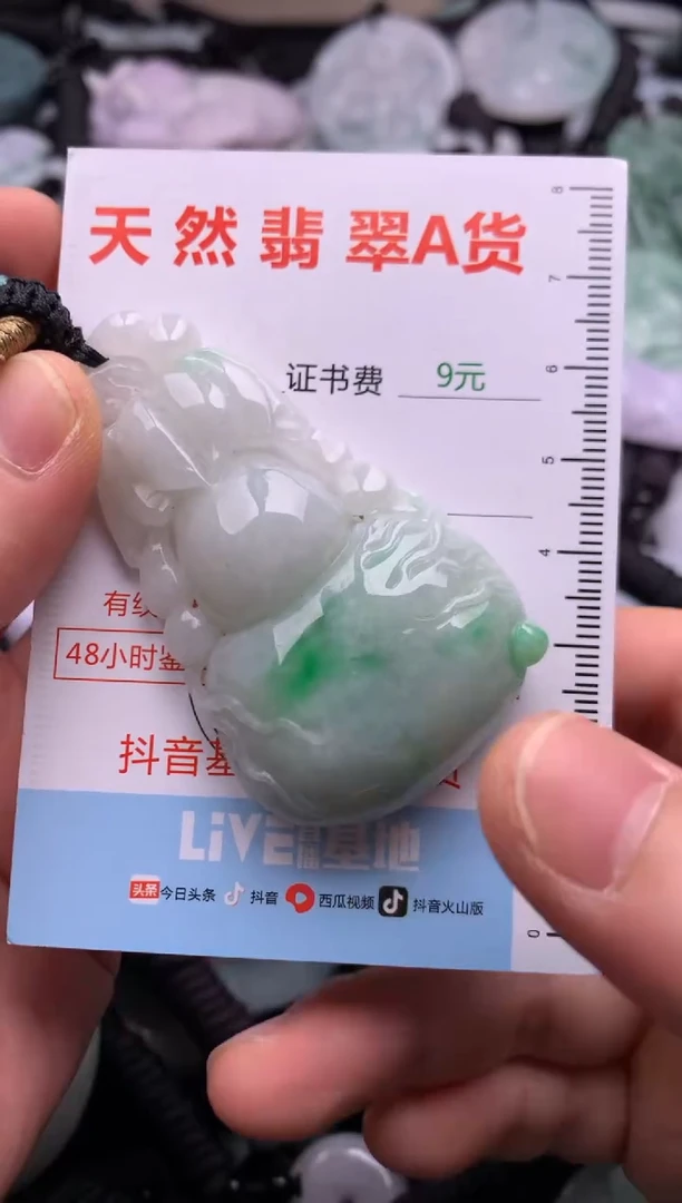 翡翠未镶嵌吊坠(不含链)1