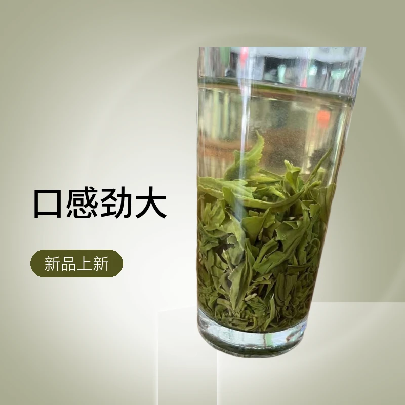 高山绿茶2025年雨前炒青口劲大