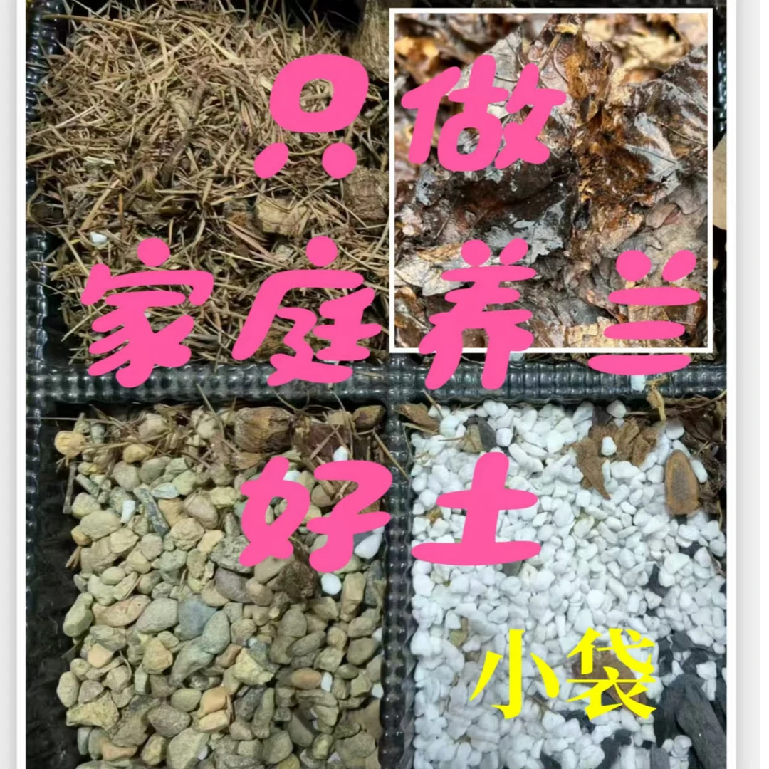 25年秋土【不是大叶，四合一】潮湿发货，橡树腐叶无土，直接上盆