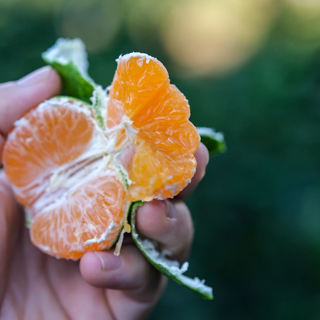 产地直发-寻乌蜜橘 净重4.5斤 带轻微果酸 大小不一介意勿拍