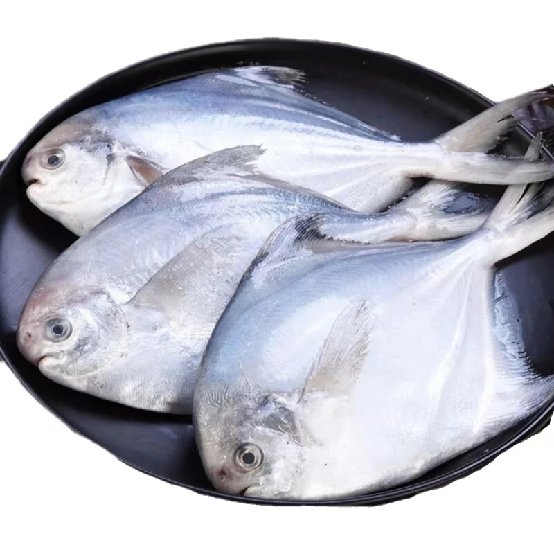 银鲳鱼 约500g/份