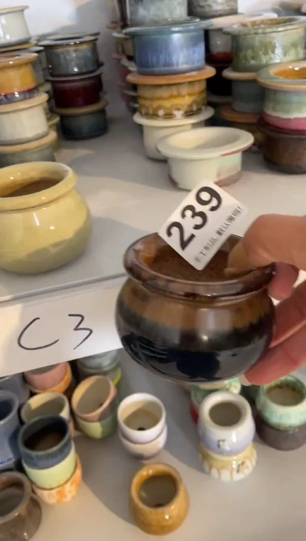 瓷片督****？239知木小芳花盆编号