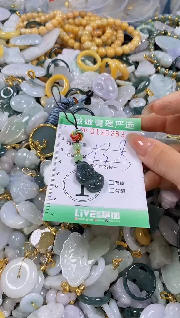 【闪购商品】翡翠颈饰未镶嵌闪购0120283多样性发其一