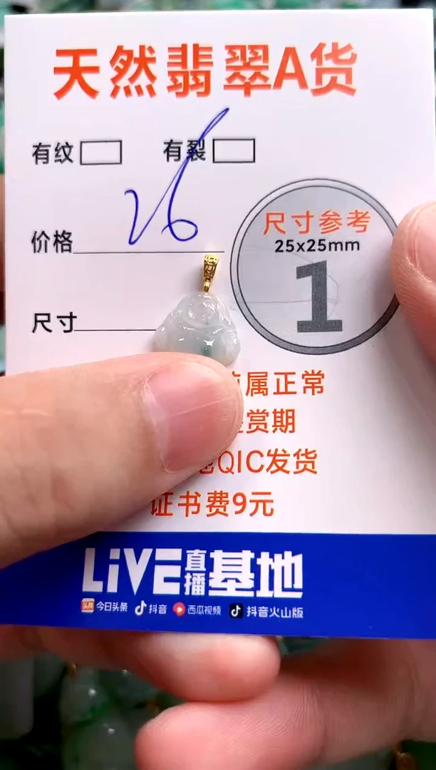 颈饰未镶嵌翡翠13003230