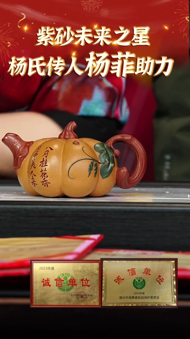 【闪购商品】紫砂茶壶133杨菲老师专场