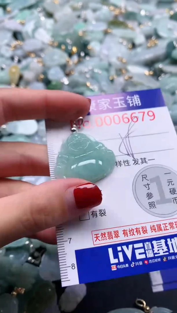 翡翠未镶嵌吊坠(不含链)6679