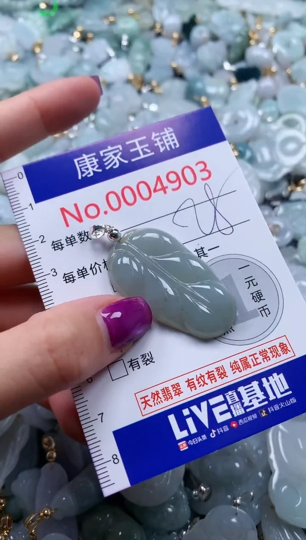 颈饰未镶嵌翡翠4903