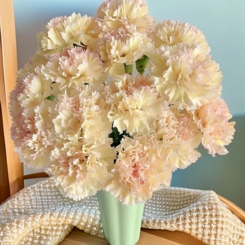 【顺丰发货】可可西里康乃馨鲜花1-4单一个运费自选品种