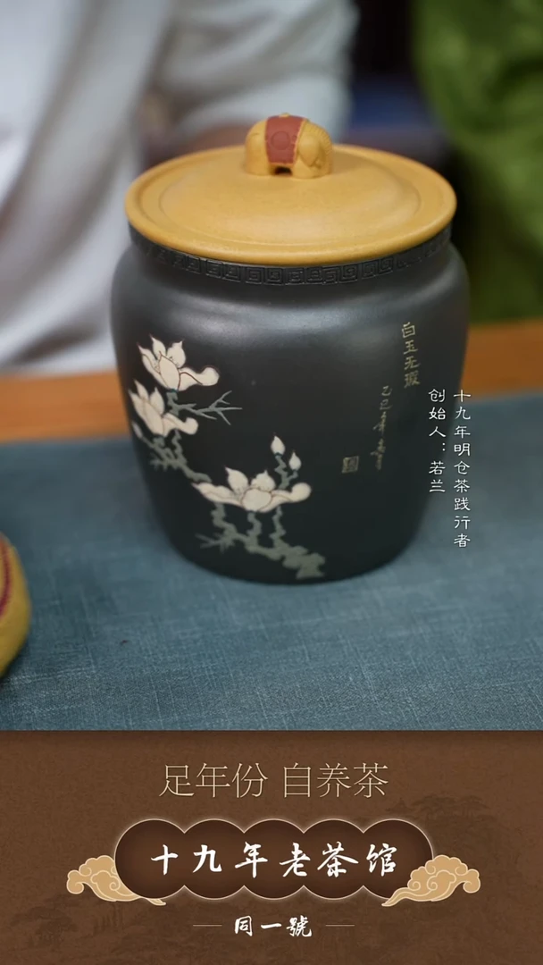 紫砂茶叶罐宜兴原矿紫砂茶叶罐+3沱宝灿