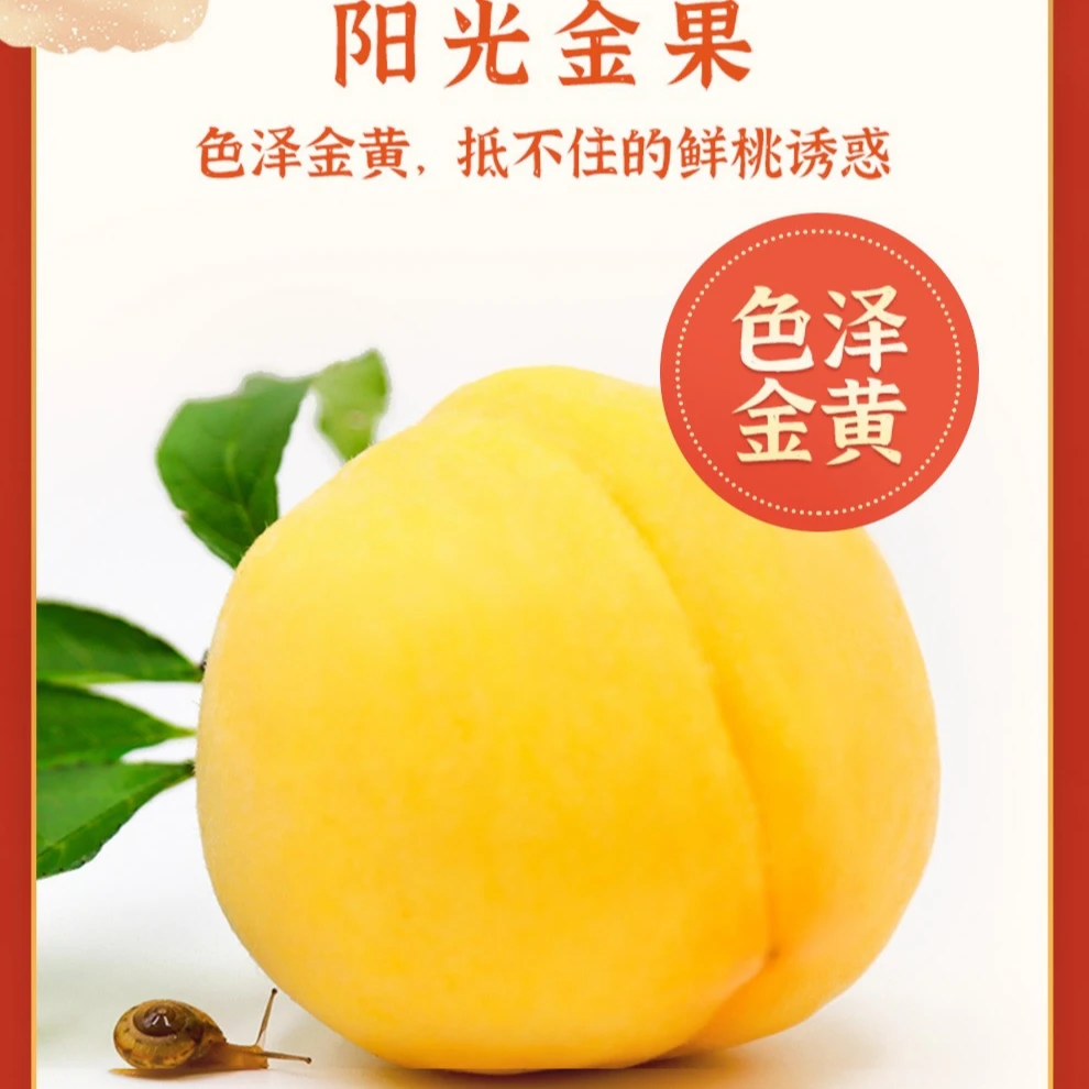 正宗湖南炎陵高山黄桃 脆甜多汁 黄金仙果【湖南省内顺丰包邮】10斤