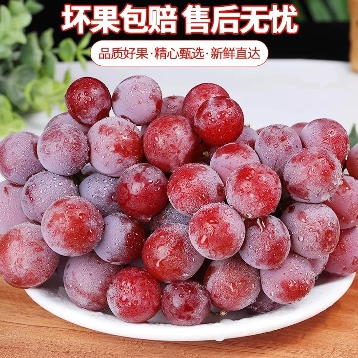 【云南妮娜皇后】妮娜皇后葡萄当季新鲜罗马红宝石无籽包邮G葡萄同城送云南省
