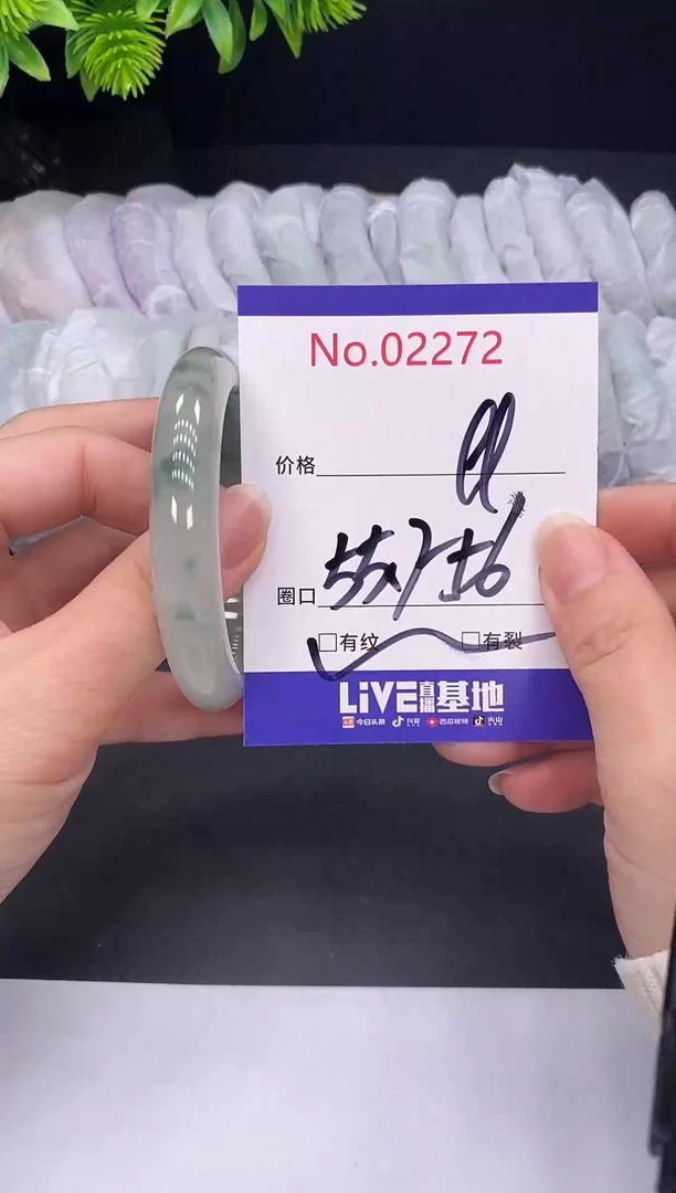 未镶嵌手镯翡翠2272