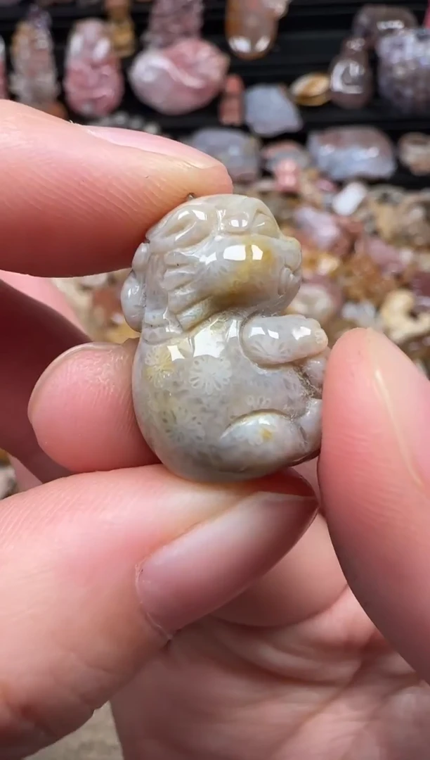 颈饰未镶嵌硅化珊瑚（珊瑚玉）072