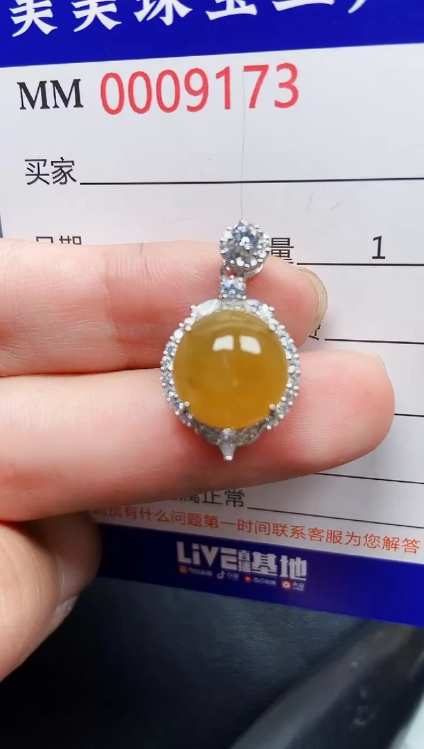 翡翠银S925镶嵌颈饰9173