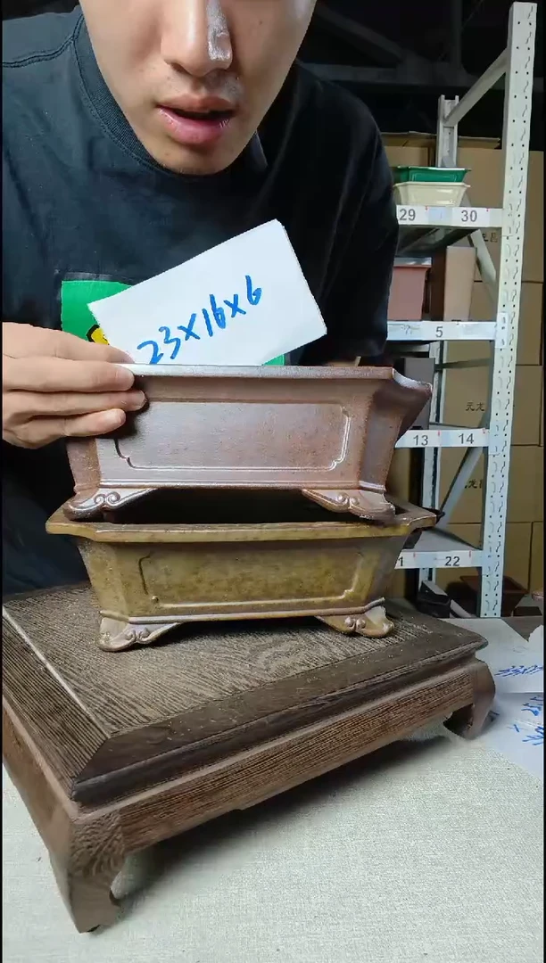 不蹲是你的神神叨叨部门内部