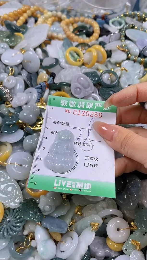 【闪购商品】翡翠颈饰未镶嵌闪购0120266