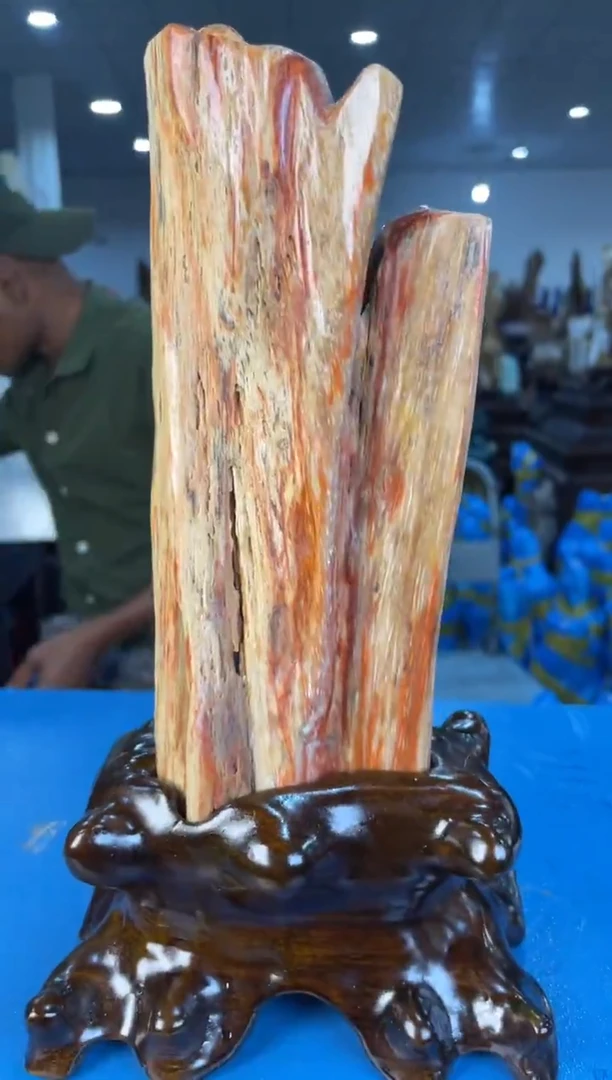 未镶嵌摆件硅化玉45