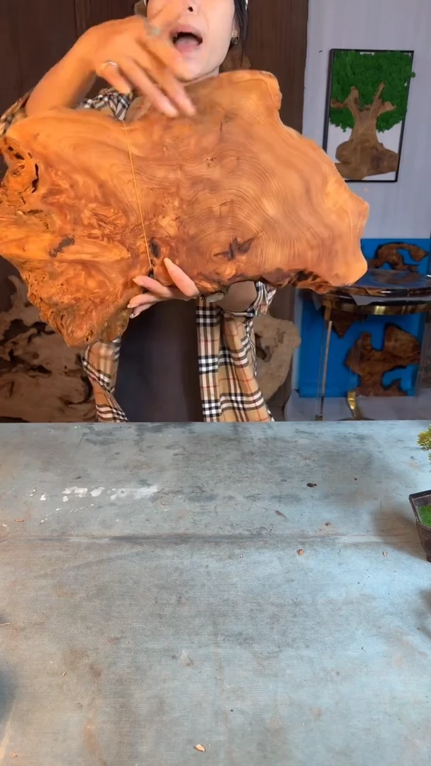 香杉木杉木瘤随型【原料】015