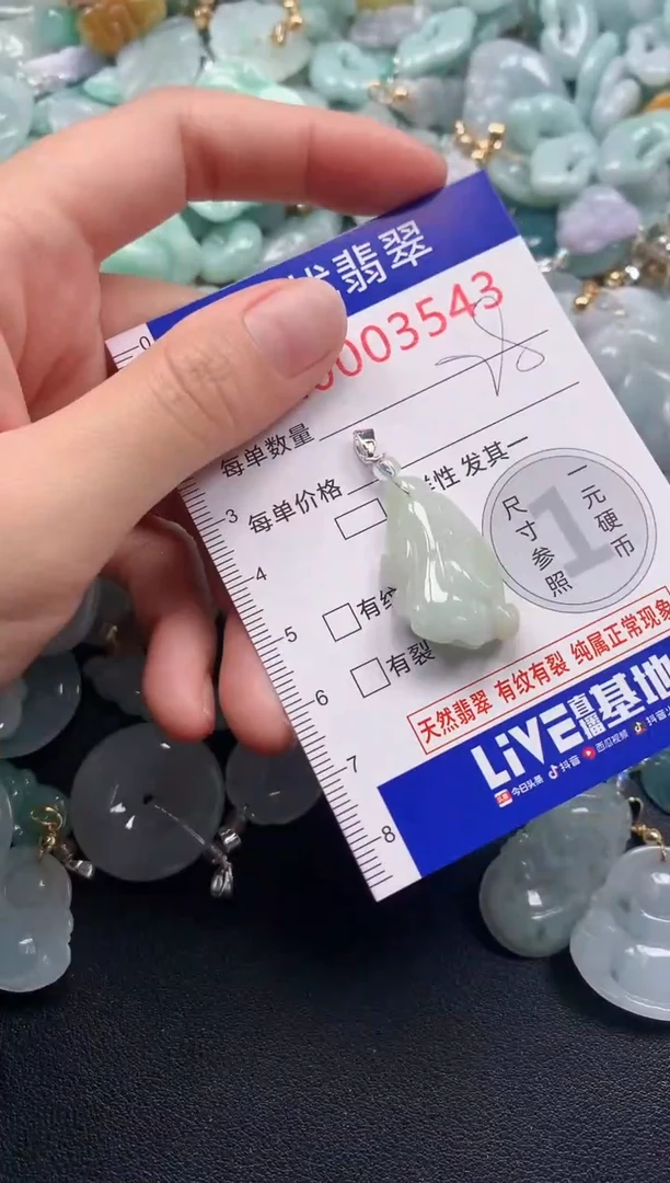 颈饰未镶嵌翡翠3543