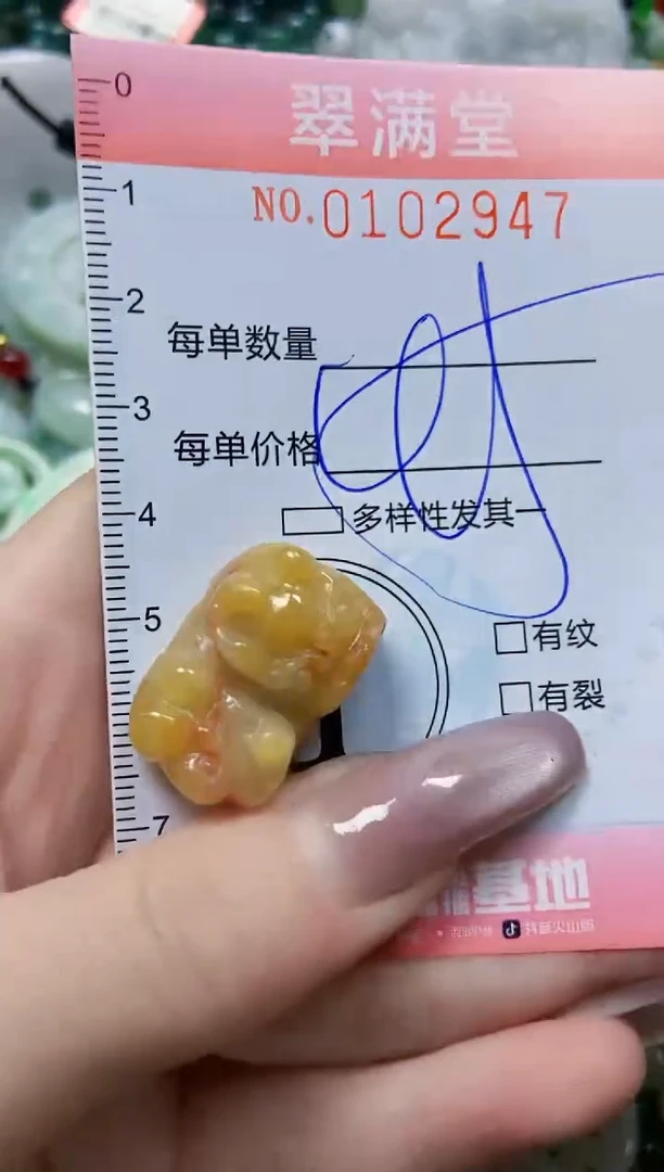 【闪购商品】翡翠颈饰未镶嵌闪购0102947