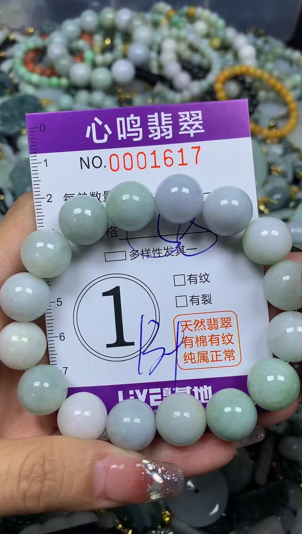 【闪购商品】翡翠颈饰未镶嵌闪购001617