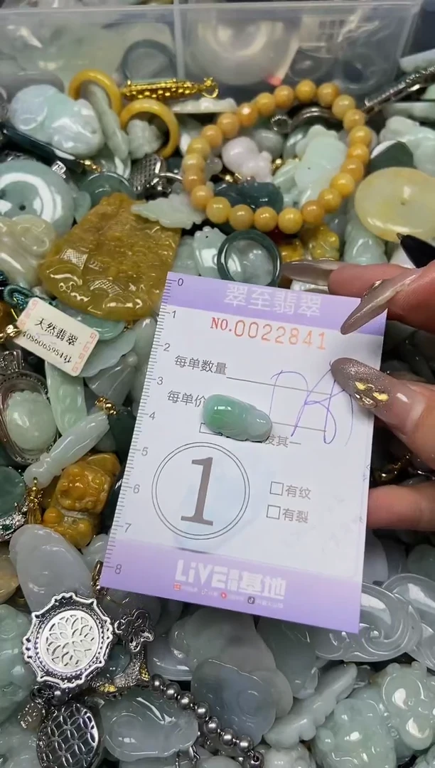 【闪购商品】翡翠颈饰未镶嵌闪购0022841