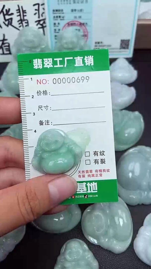 颈饰未镶嵌翡翠缅甸天然翡翠0699