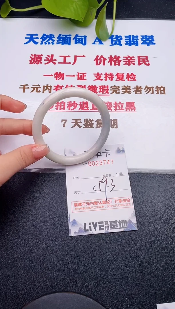 未镶嵌手镯翡翠47