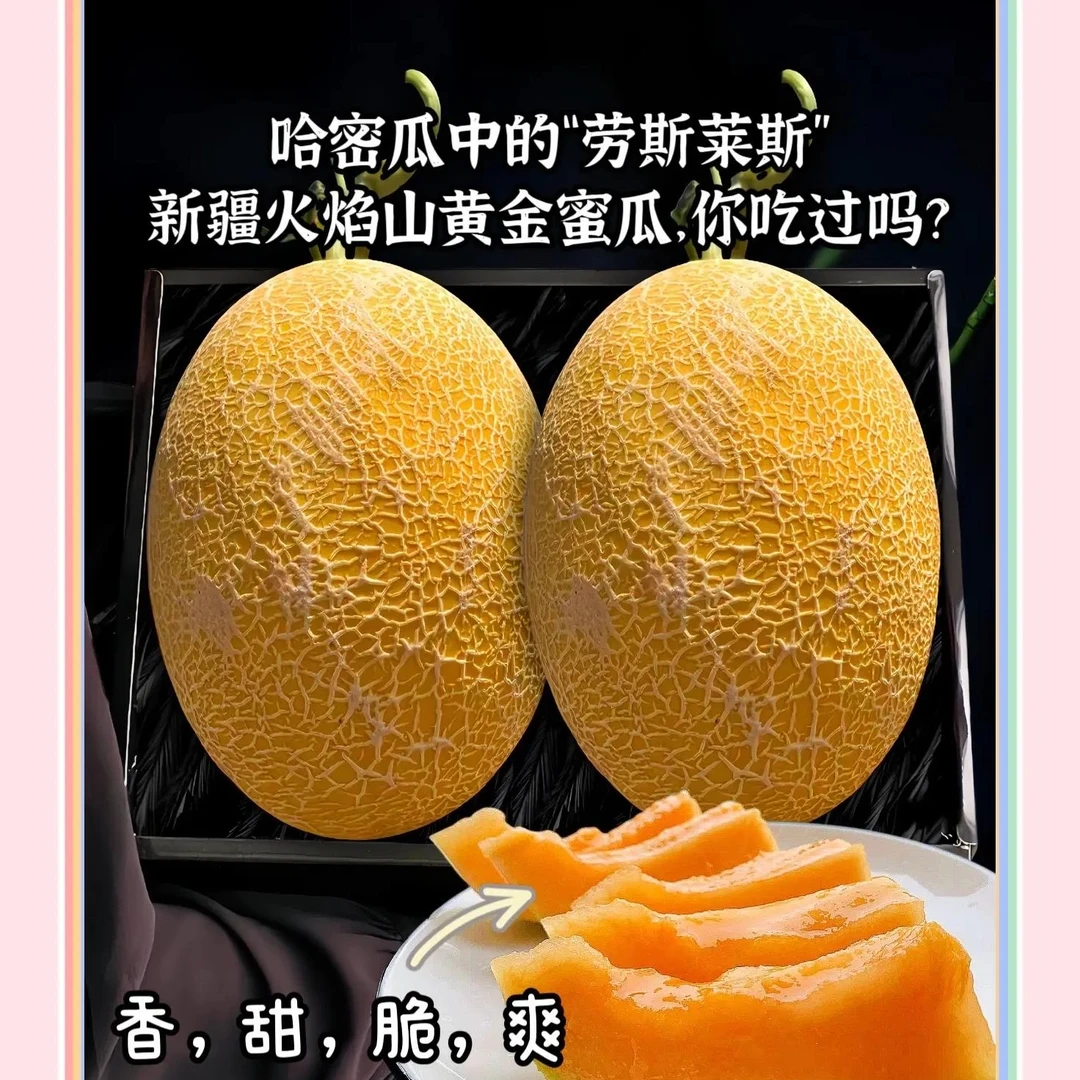 黄金蜜瓜甜瓜两个约5斤左右