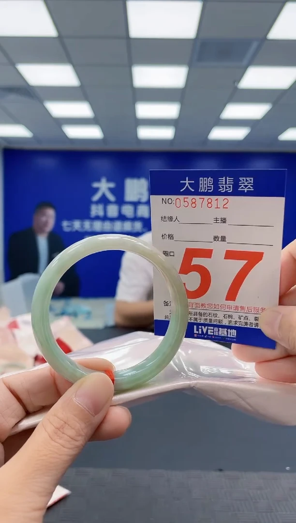 未镶嵌手镯翡翠AAAAAAAAAA
