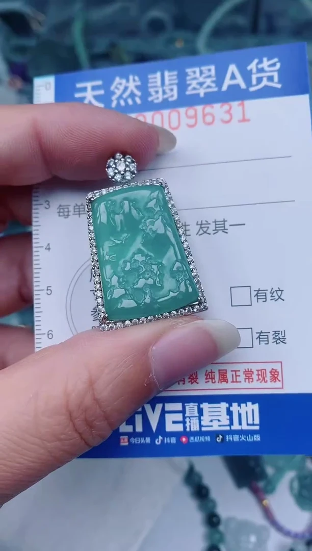 颈饰未镶嵌翡翠00009631