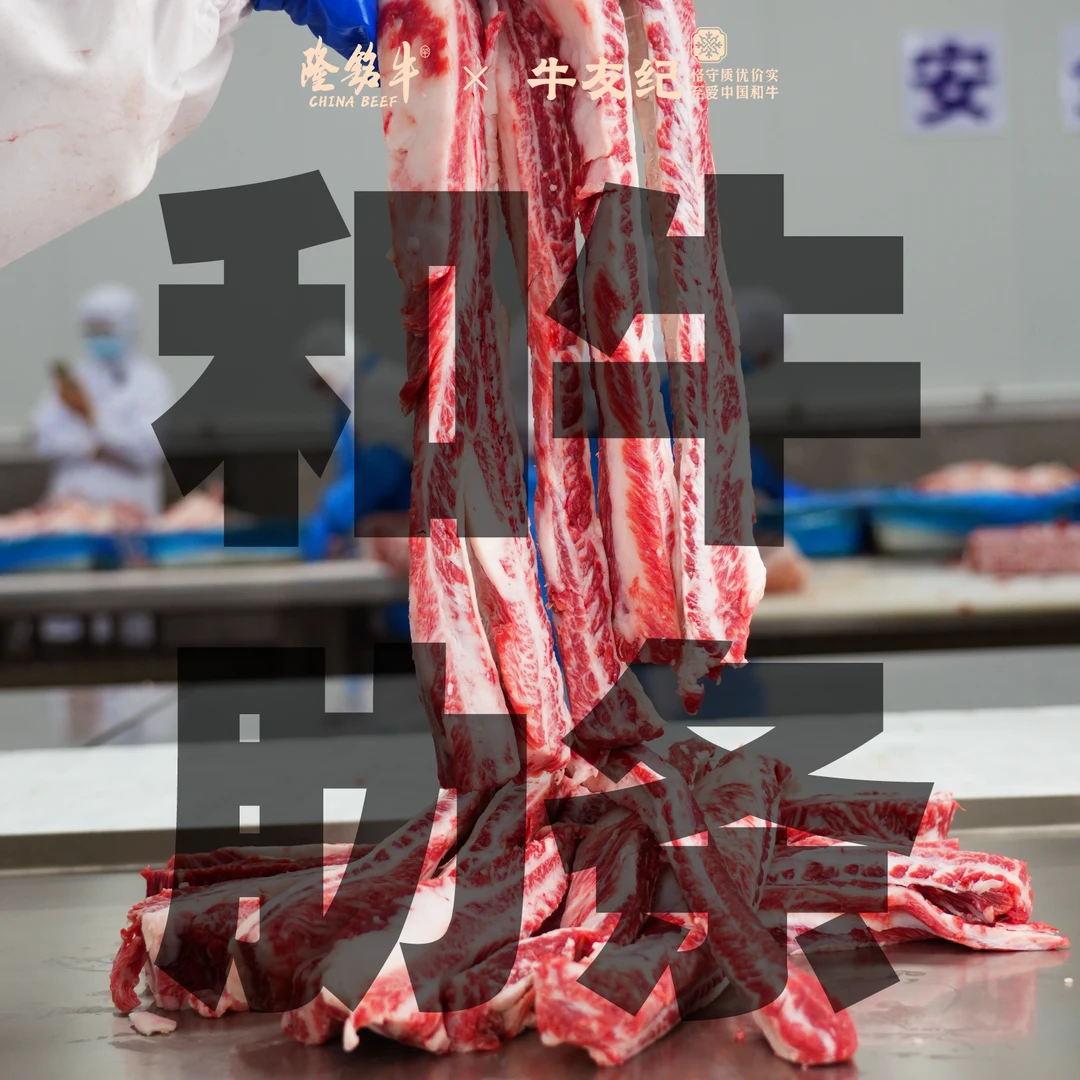 【隆铭纯血和牛-去骨肋条肉】国产谷饲和牛肋条现场称重