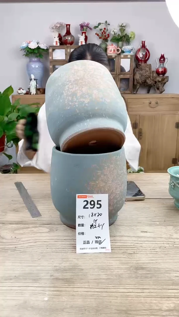 小玩子花盆直播号295
