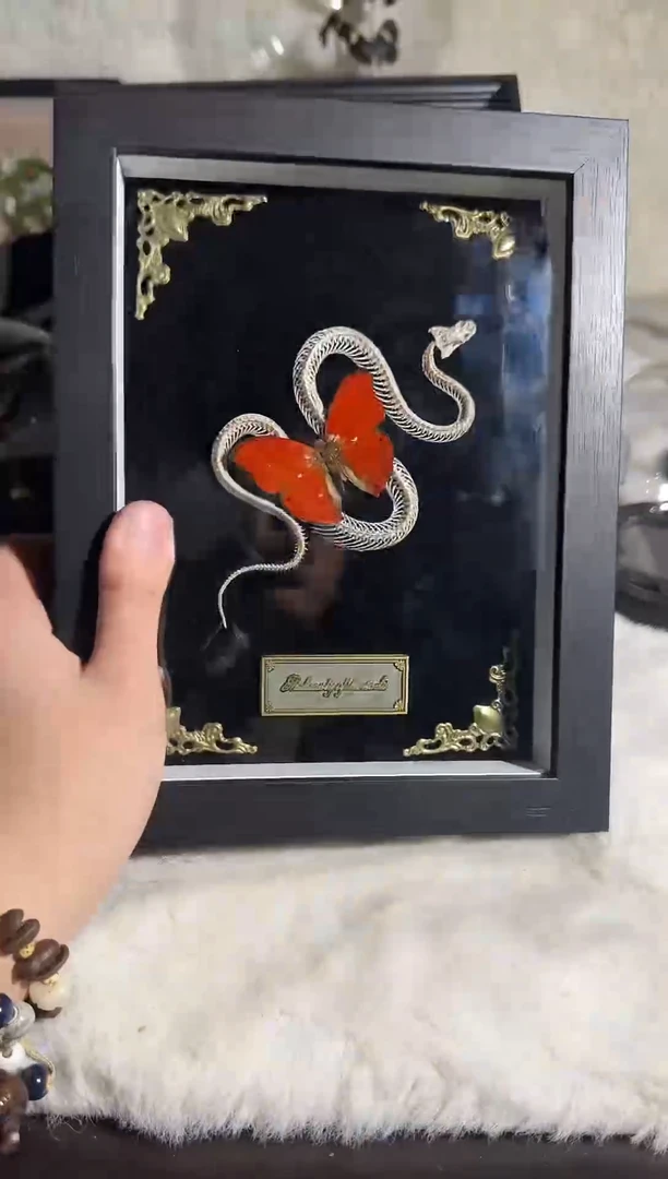 有机玻璃血漪蛇骨