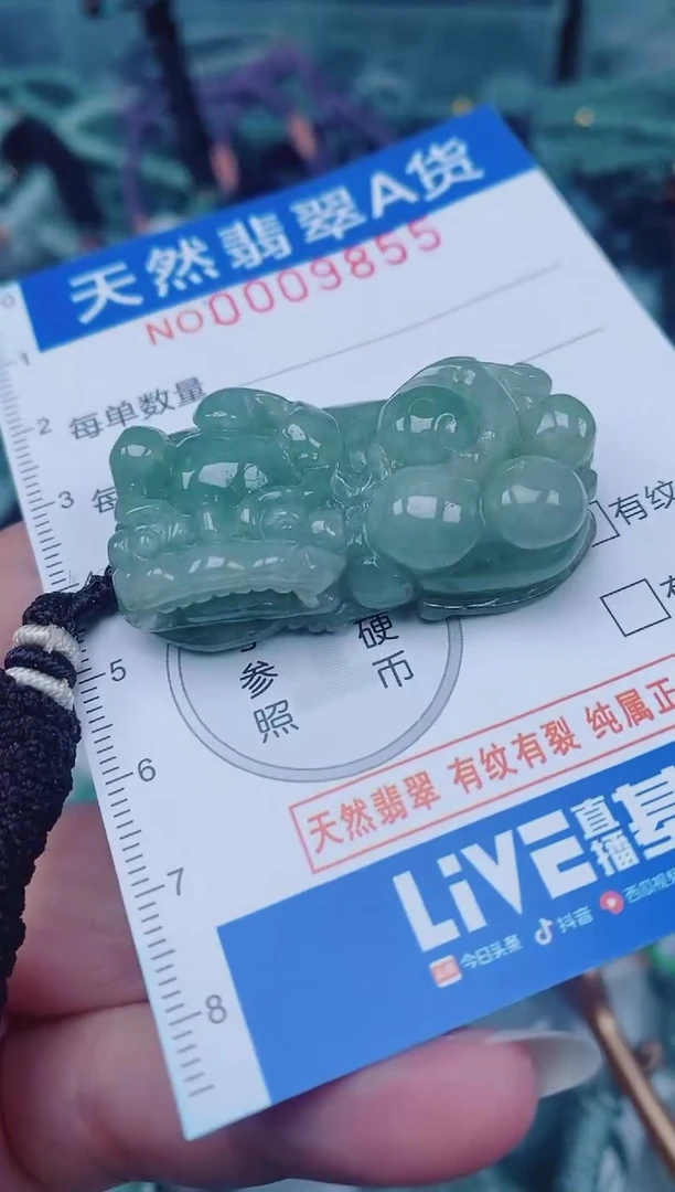 颈饰未镶嵌翡翠00009855