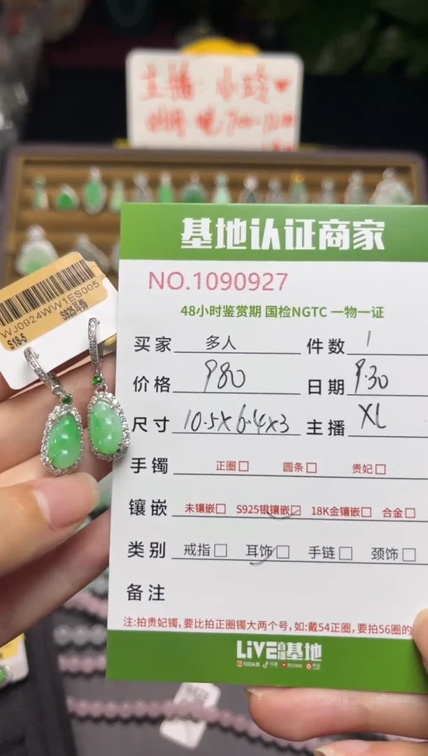 银S925镶嵌翡翠耳饰多人