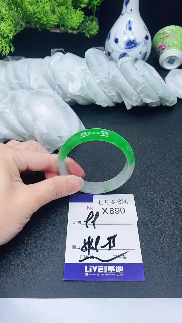 未镶嵌手镯翡翠890