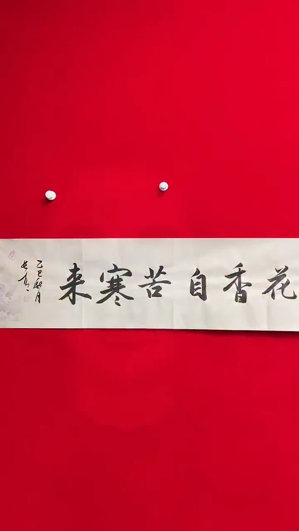 书法于长青 梅花香自苦寒来   书法