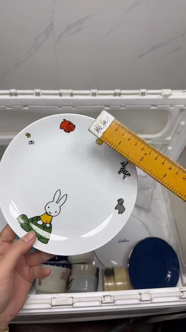 【闪购商品】468回流瓷器默认微瑕，18.8包邮