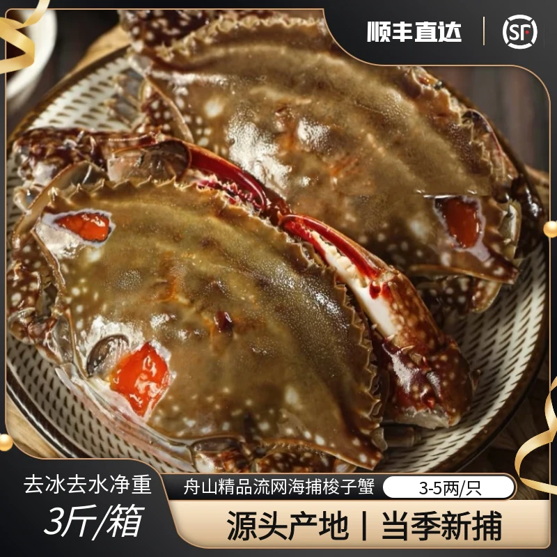 【活蟹】舟山梭子蟹红膏蟹 3-5两/只  净重3斤左右/箱 【保鲜不保活】