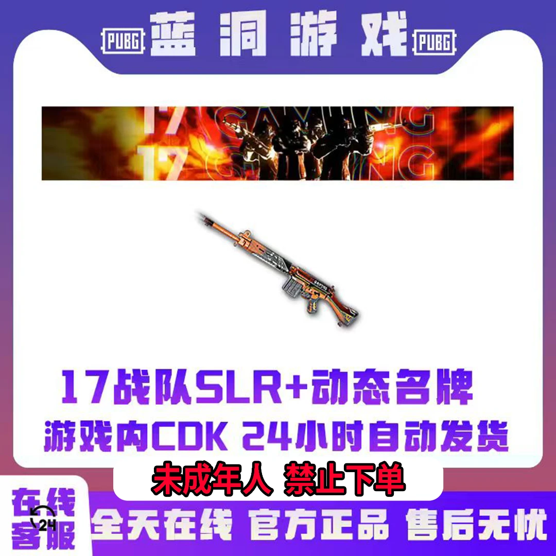 PUBG绝地求生17战队套装吃鸡官方SLR动态名片名牌CDK激活码兑换码